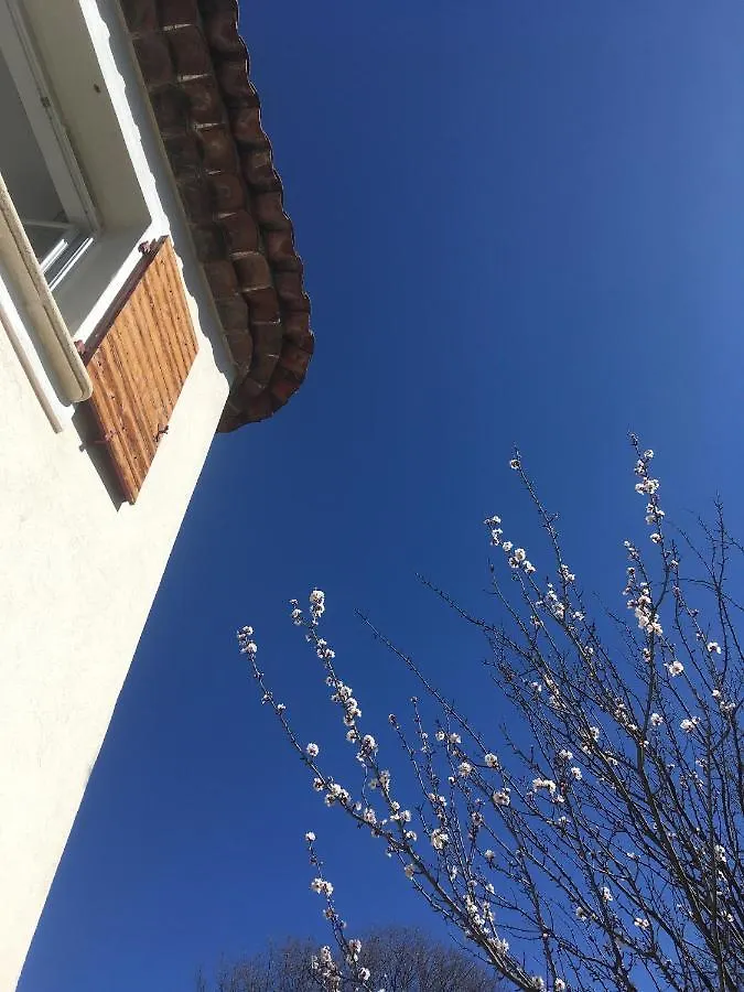 Holiday home Mon Gite En Provence Avec Piscine Salernes